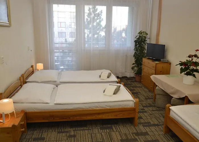 Volha Hostel *
